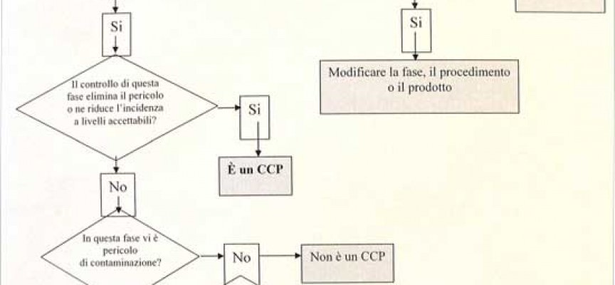 Schema esempio haccp alimentari
