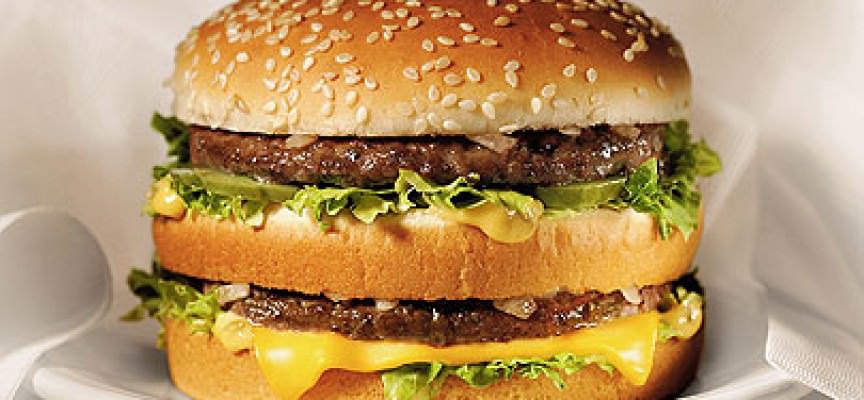 Quanto Costa Un Panino Al Mc